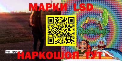 стафф Новозыбков