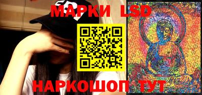 стафф Новозыбков
